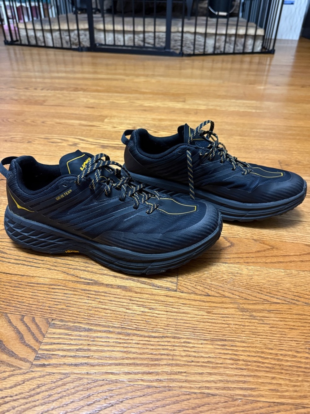 Hoka Speedgoat 4 GTX 10.5